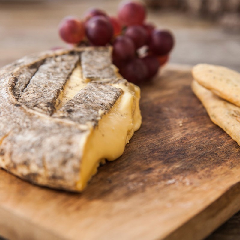 Queso Airas Moniz Terra