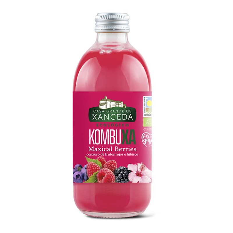 Kombucha frutos rojos Xanceda