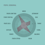 Tableta de Chocolate 72% Nicaragua Amatller