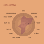 Tableta de Chocolate 74% Madagascar Amatller